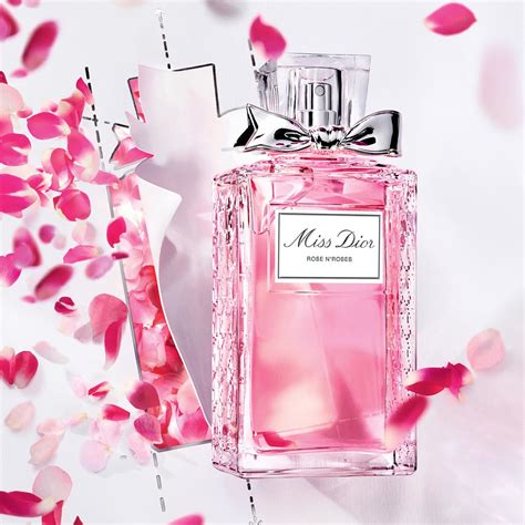 perfume rose and roses de dior|Dior rose n roses sample.